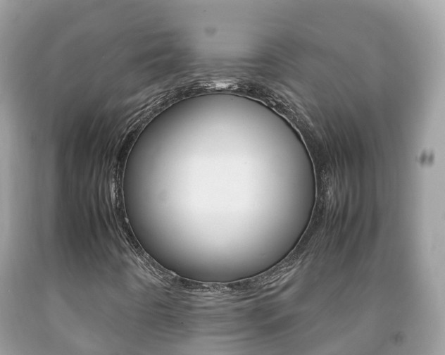 X0000092221442200709140912