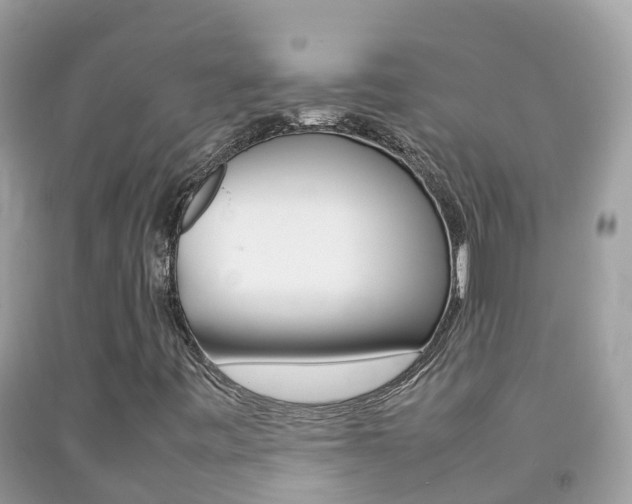 X0000092221443200709140912