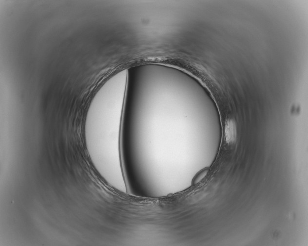 X0000092221444200709140912