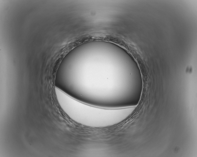 X0000092221445200709140912