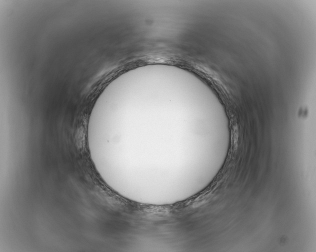 X0000092221446200709140912