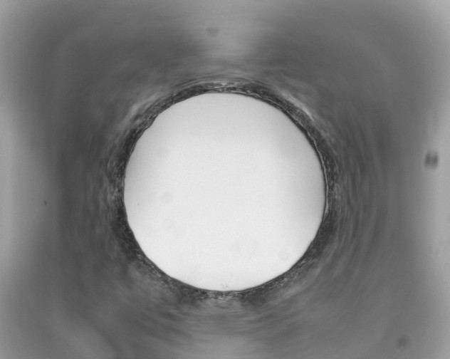 X0000092221447200709140912
