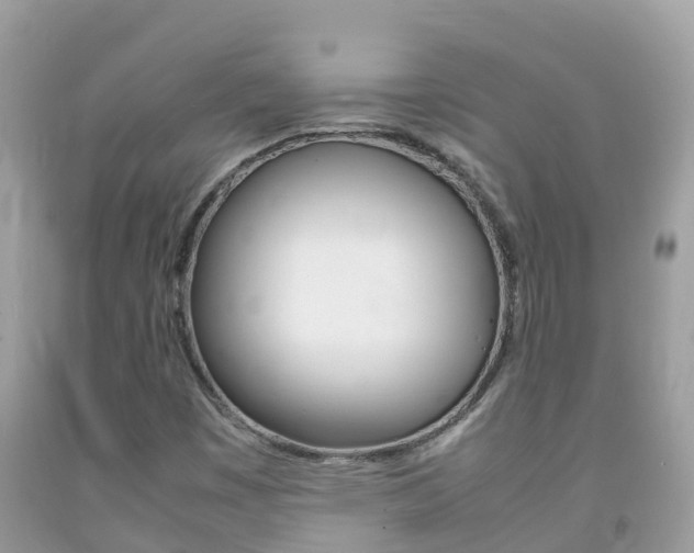 X0000092221449200709140912