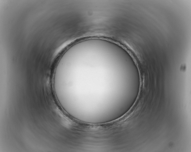 X0000092221452200709140912