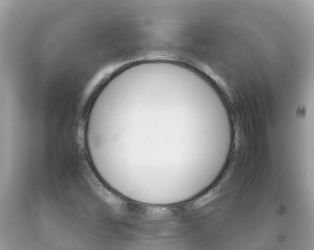 X0000092221454200709140912