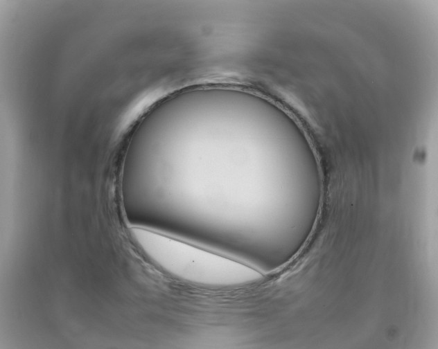 X0000092221455200709140912