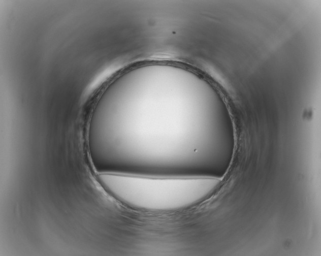 X0000092221456200709140912
