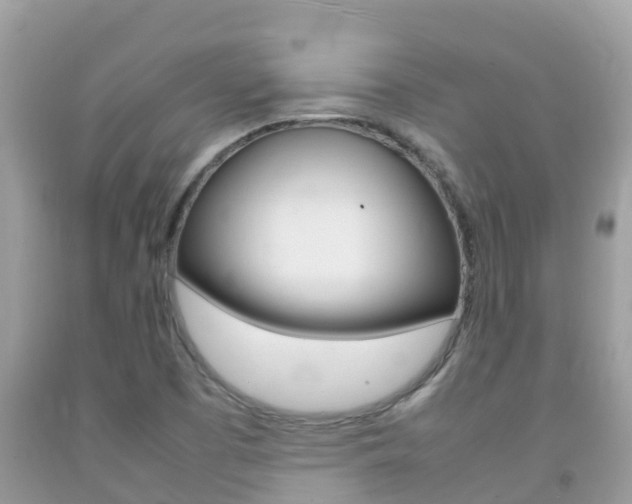 X0000092221457200709140912