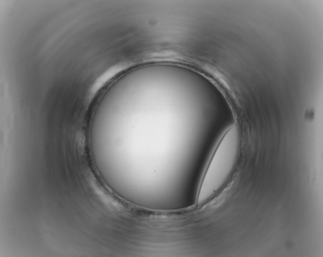 X0000092221458200709140911