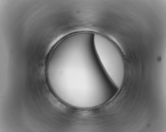 X0000092221460200709140911