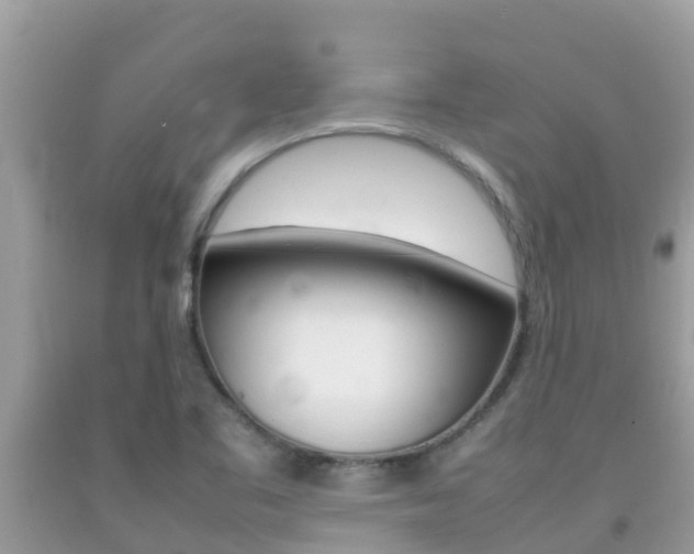 X0000092221461200709140911