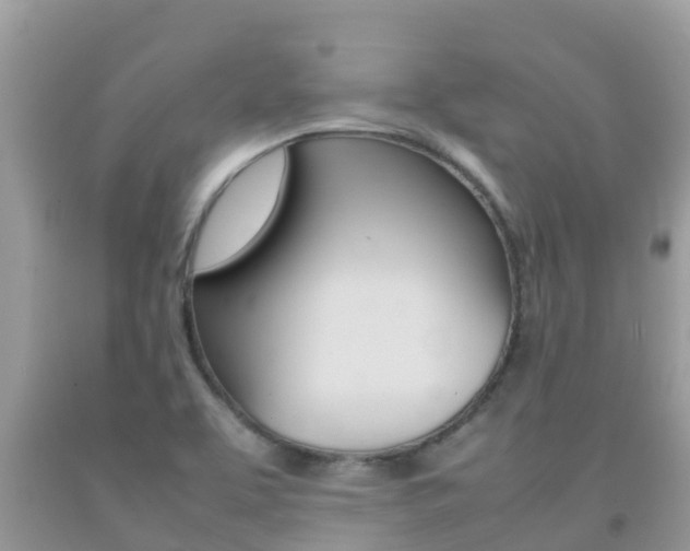 X0000092221463200709140911