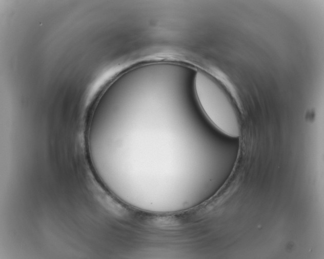 X0000092221464200709140911