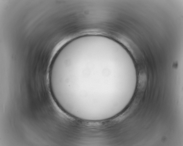 X0000092221466200709140911