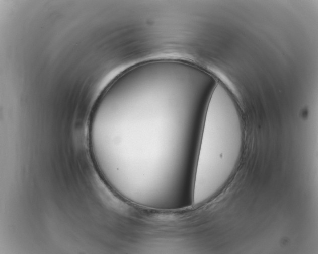 X0000092221468200709140911
