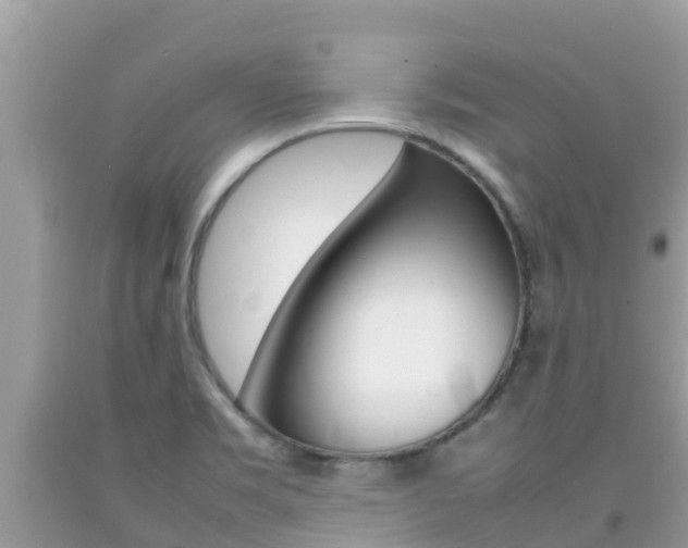 X0000092221469200709140911