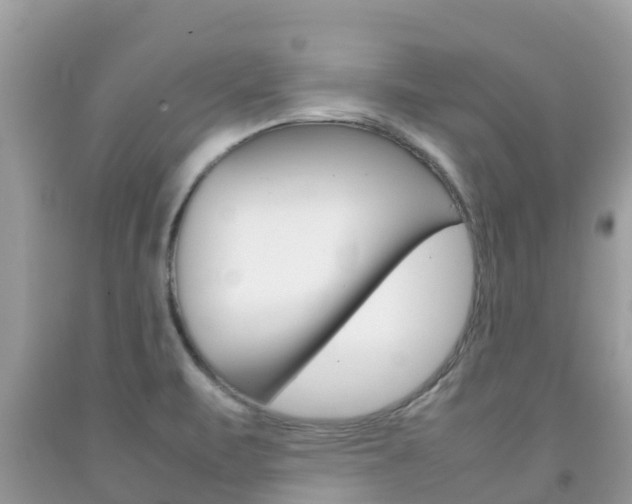 X0000092221471200709140911