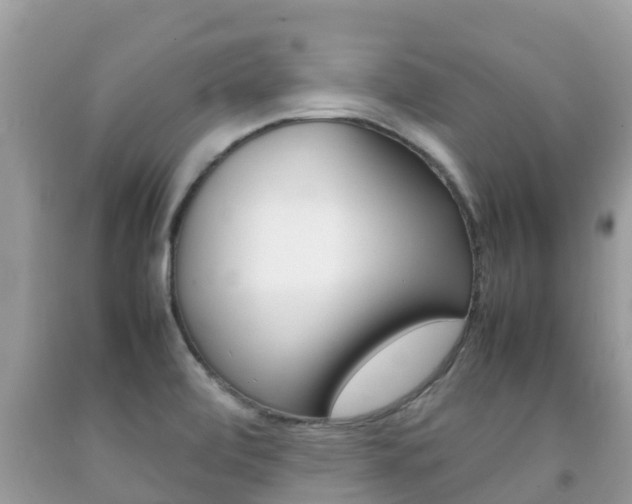 X0000092221472200709140911