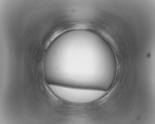 X0000092221473200709140911