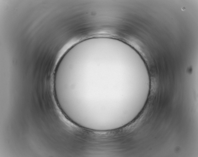 X0000092221474200709140911