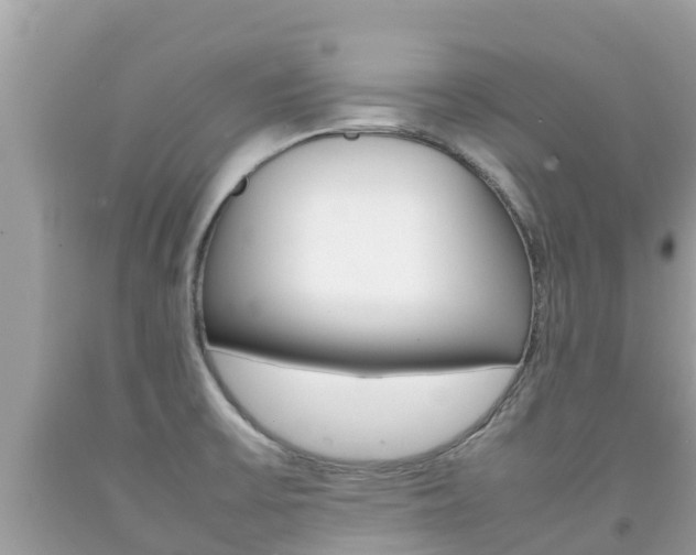 X0000092221475200709140911