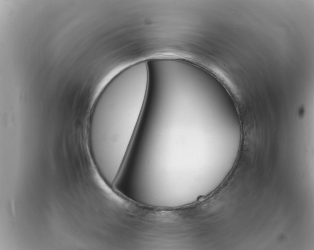 X0000092221476200709140911