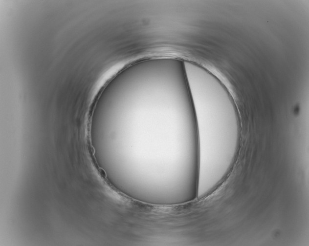 X0000092221477200709140911