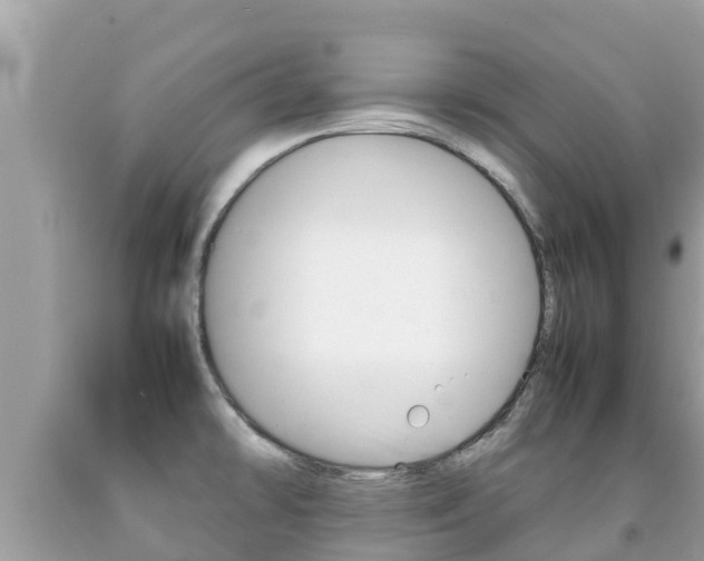 X0000092221478200709140911
