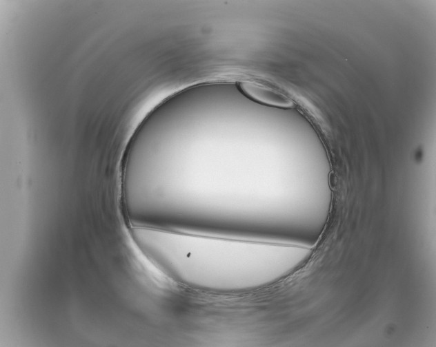 X0000092221479200709140911