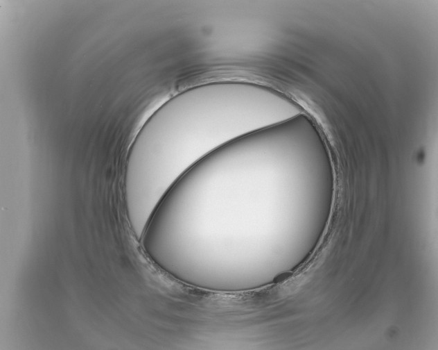X0000092221481200709140911
