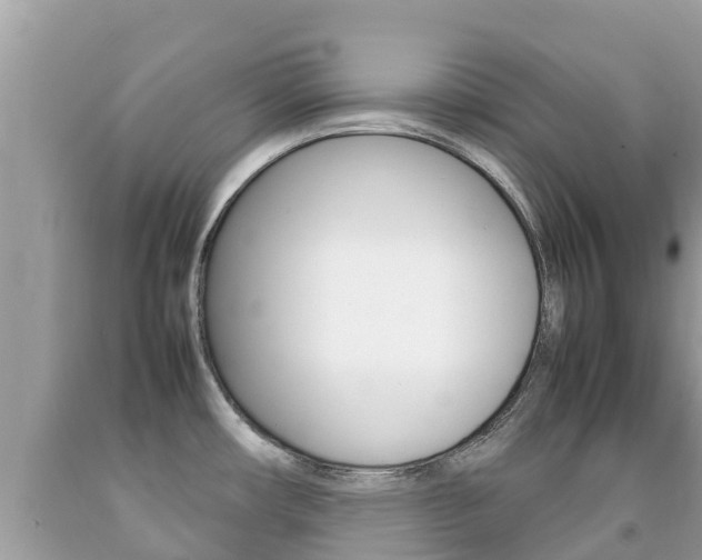 X0000092221482200709140911