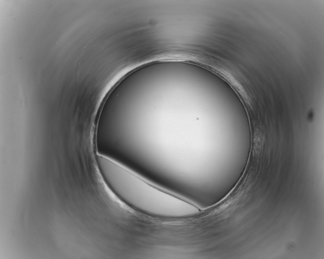 X0000092221484200709140911