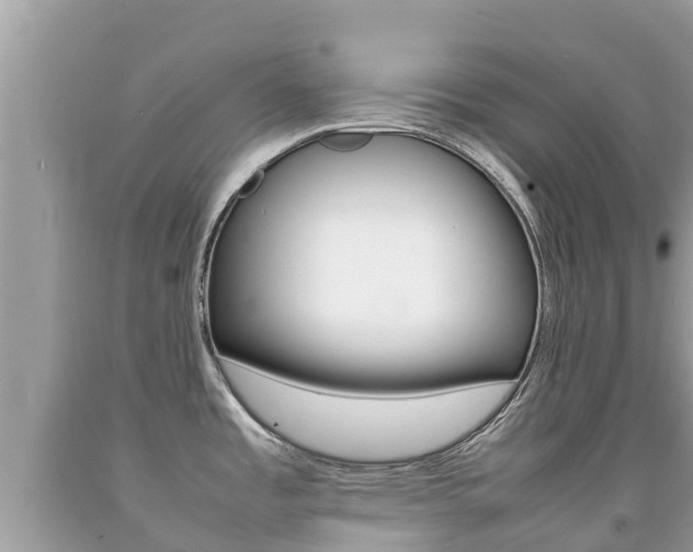 X0000092221485200709140911