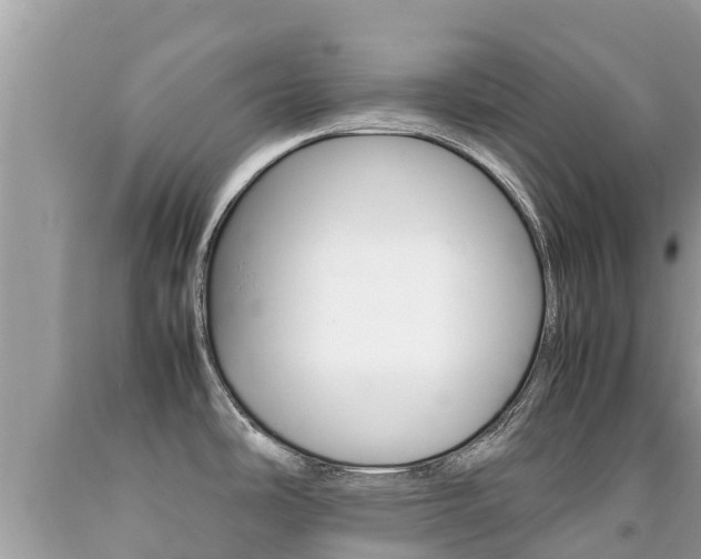 X0000092221486200709140911