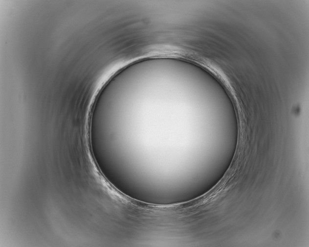 X0000092221488200709140911