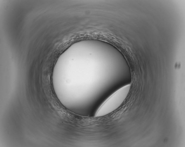 X0000092221489200709140911