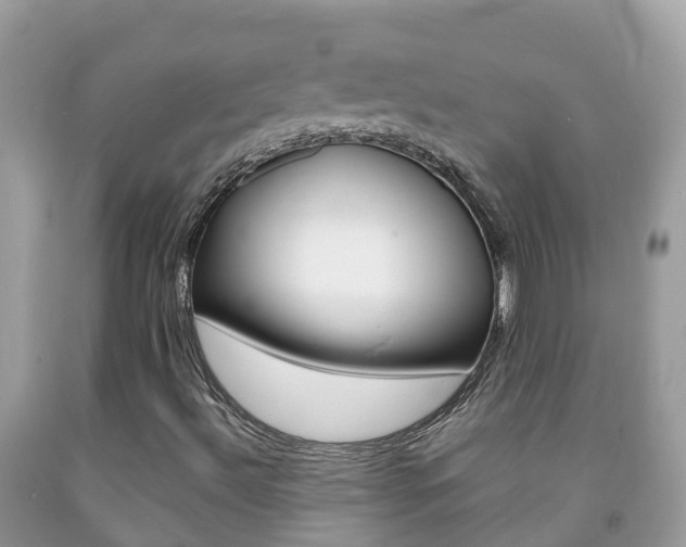 X0000092221492200709140911
