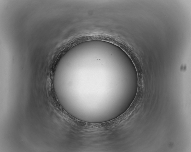 X0000092221493200709140911