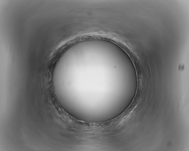 X0000092221494200709140911