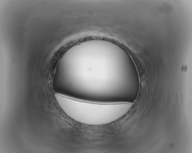 X0000092221495200709140911