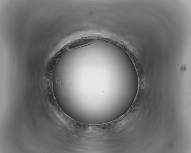 X0000092221496200709140911
