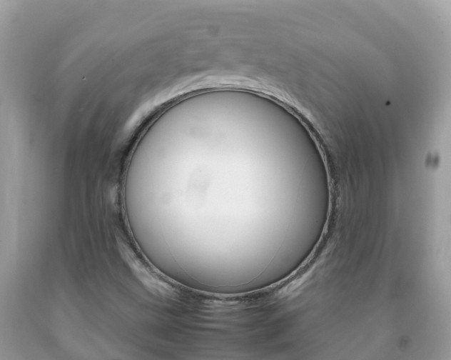 X0000092221499200709140911