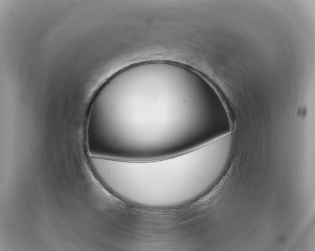 X0000092221500200709140911