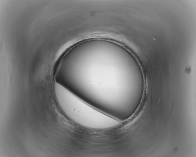 X0000092221501200709140911