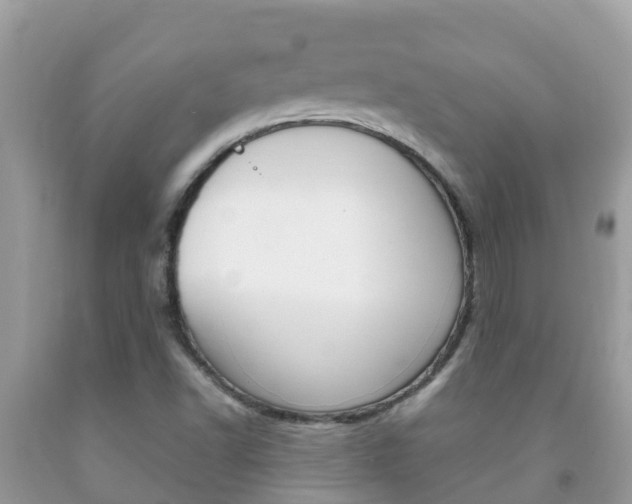 X0000092221502200709140911