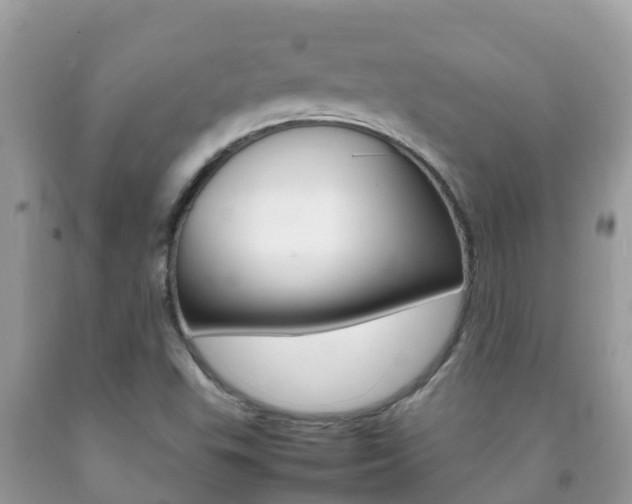 X0000092221503200709140911