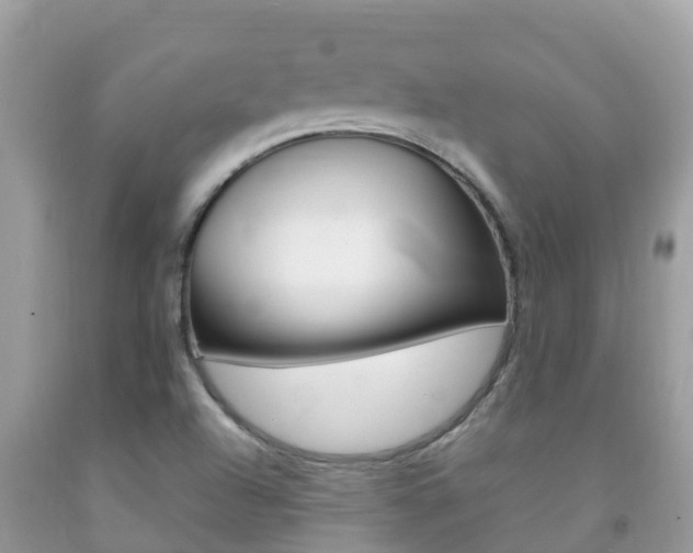 X0000092221504200709140911