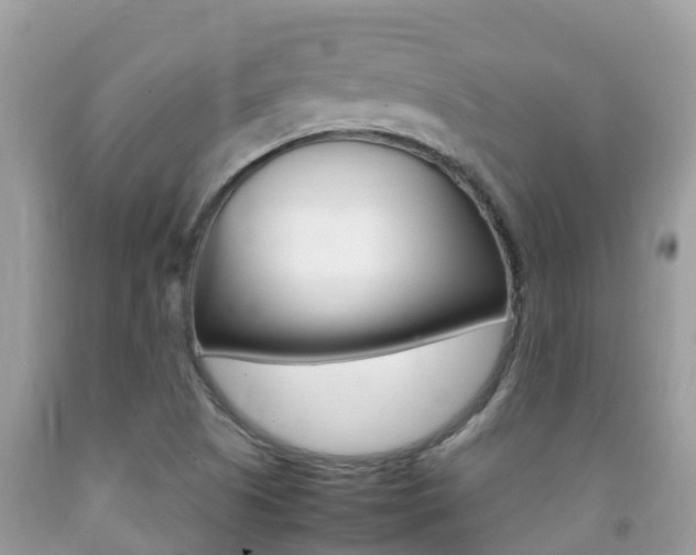 X0000092221505200709140911