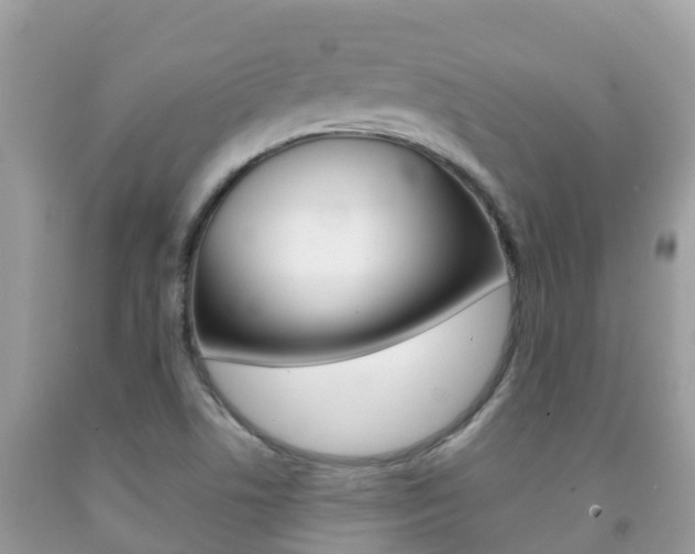X0000092221506200709140911