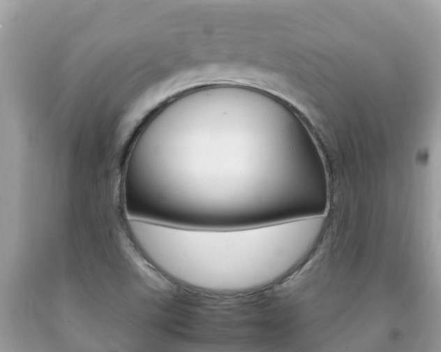 X0000092221507200709140911